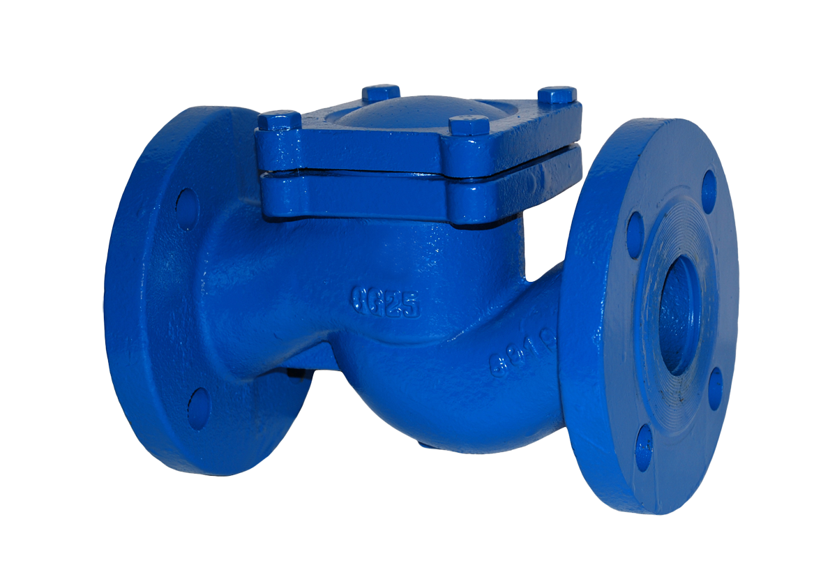 Flanged check valve